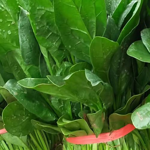 450g~550g | 新鲜脆嫩菠菜（偶有虫眼）