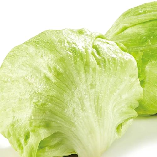 400g~600g/袋【脆嫩微甜】球生菜新鲜爽口